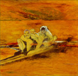 rowers in a scull boat on an orange river